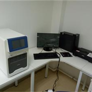 定时荧光定量PCR仪96孔
