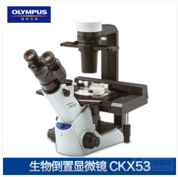 奥林巴斯CKX53倒置生物显微镜