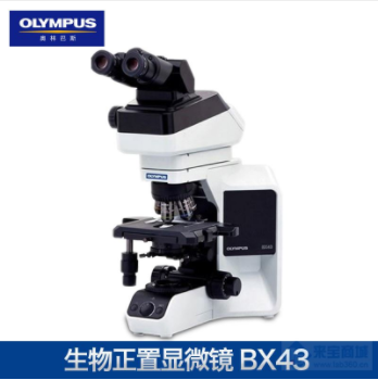 奥林巴斯生物显微镜BX43