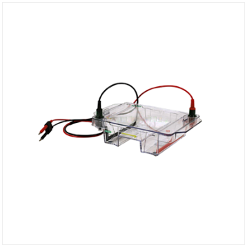 伯乐宽式迷你水平电泳槽Bio-rad Mini-Sub Cell GT Cell1704469