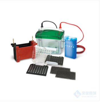 伯乐小型 Mini Trans-Blot® 电泳转印槽170-3930