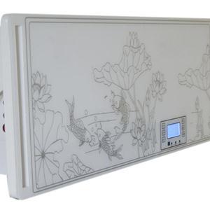 博科壁挂式空气消毒机BK-B-800