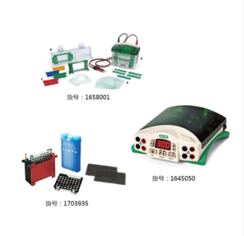 伯乐宽式迷你水平电泳槽Bio-rad Mini-Sub Cell GT Cell1704469